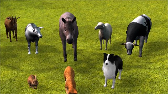 Seven friends burro-3D Animation