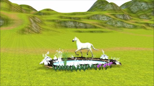 Horse and girl-3D Animation