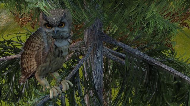 OWL 3DModel