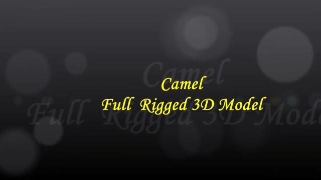 Walking  Camel  - full  rigged 3D  Model