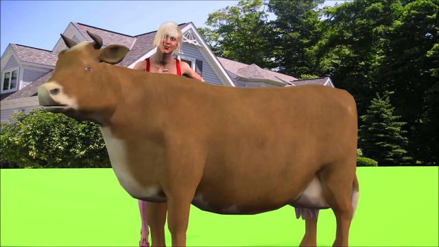 Look  at  animated  Cow!