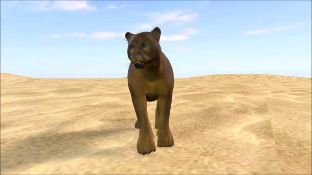 Puma Motion  Pack-3D Animation