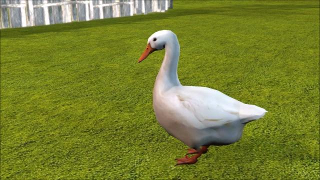 Goose 3D Model