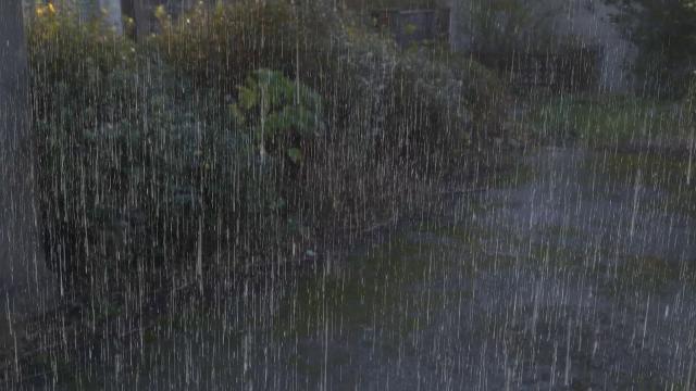 Rain- VFX