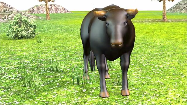 Animated Bull  3D Model