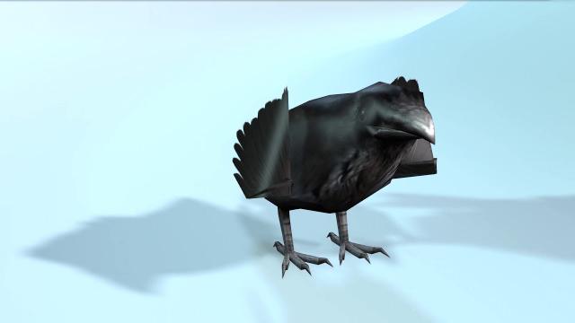 crow 3D Model