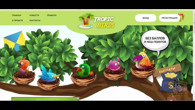 Экономическая игра Tropic Birds! Без балов Без кэш-поинтов