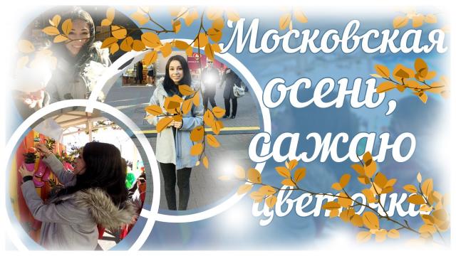 VLOG: Фестиваль Московская осень, сажаю цветочки ^_^