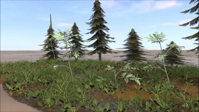 Forest  Glade HQ  3D  Set